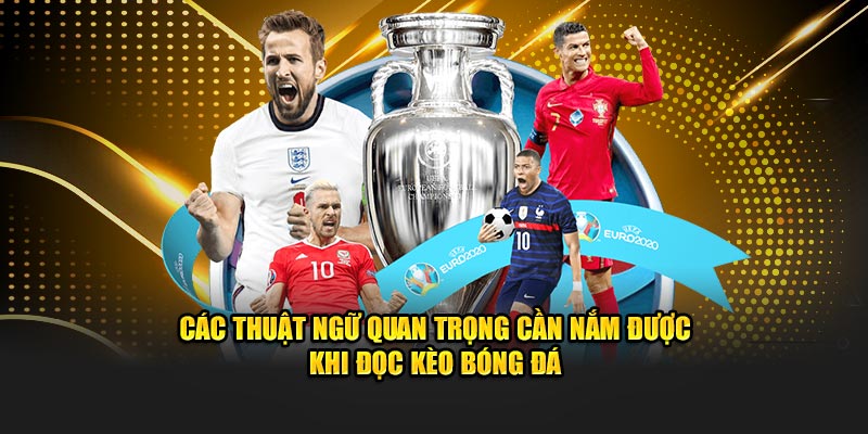 Các thuật ngữ quan trọng cần nắm được khi đọc kèo bóng đá