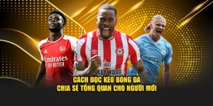 Cách đọc kèo bóng đá
